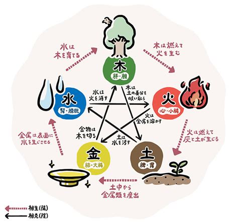 五行色体表とは|【漢方基礎知識】中医学の基礎となる哲学「五行学説。